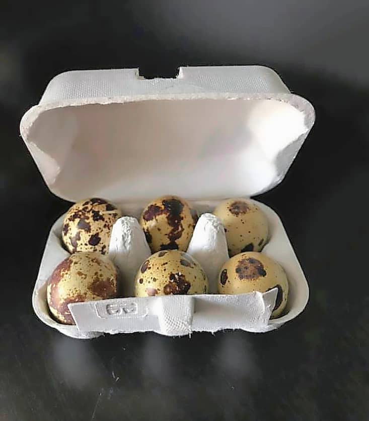 La ferme en folie à Romont